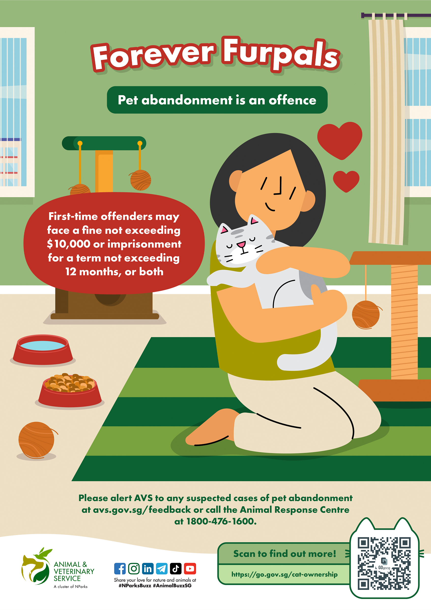 An infographic on not abandoning your cat